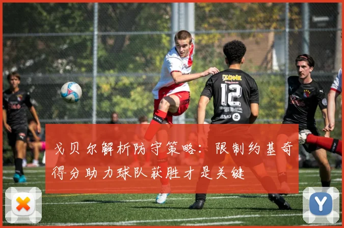 戈贝尔解析防守策略：限制约基奇得分助力球队获胜才是关键