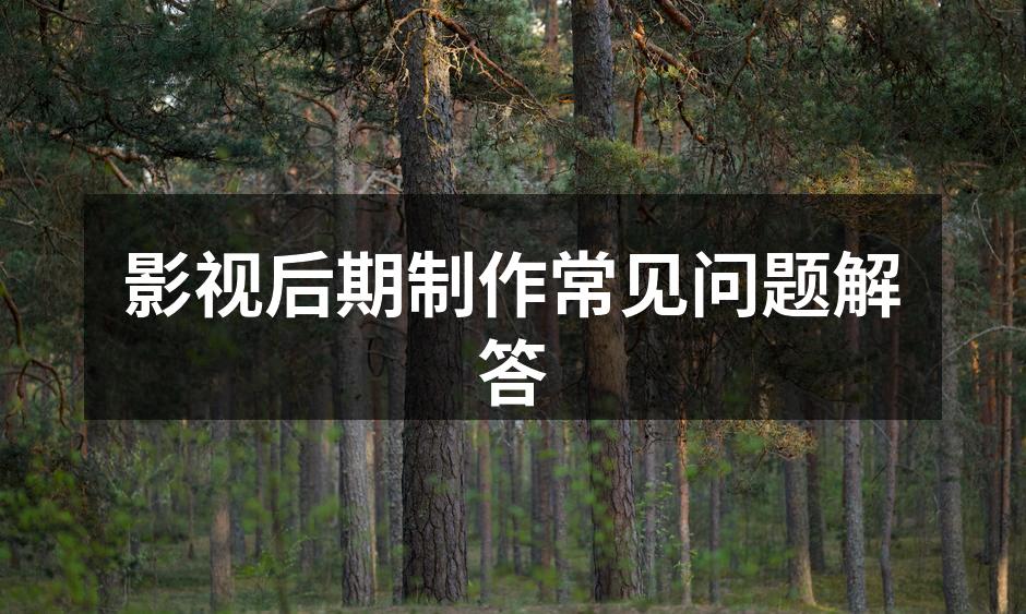 影视后期制作流程示意图